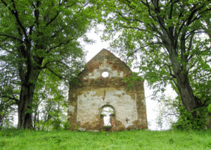 Bieszczadzkie Potwory (4276)